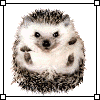 robomir