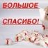 Мариночка ***