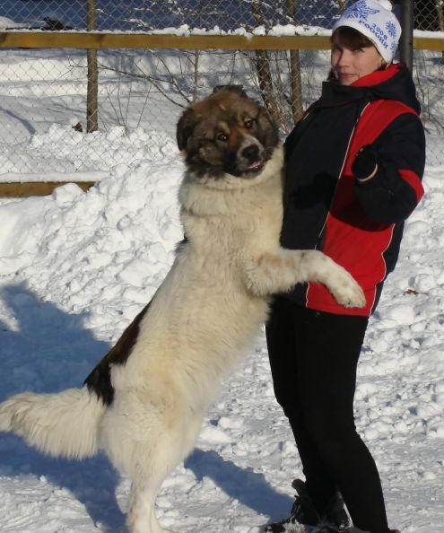 Фото без названия