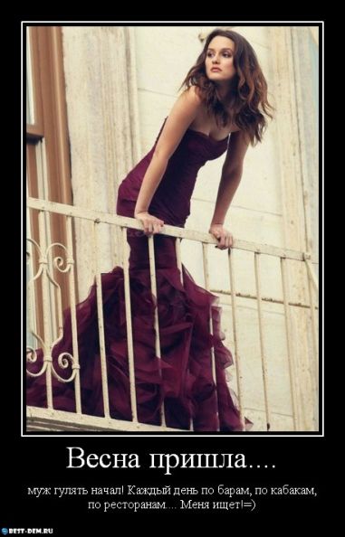 Муж ищет жену