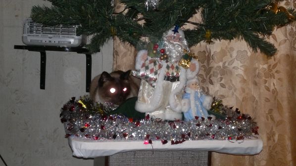 новогодний подарок