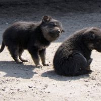 Фотоальбом 17.04.2013