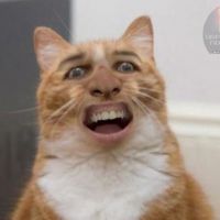 Фотоальбом 22.04.2013