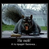 Фотоальбом 12.07.2013