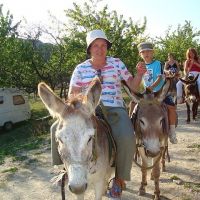 Фотоальбом 20.04.2013