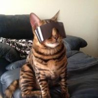 Фотоальбом 20.08.2013