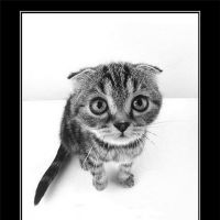 Фотоальбом 27.04.2013