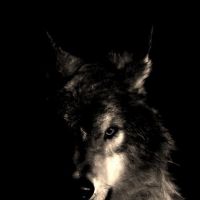 Фотоальбом 08.07.2013