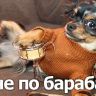 по барабану.jpg