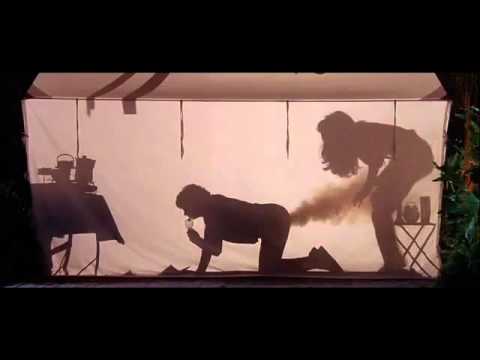 Austin Powers шоковые тени на палатке