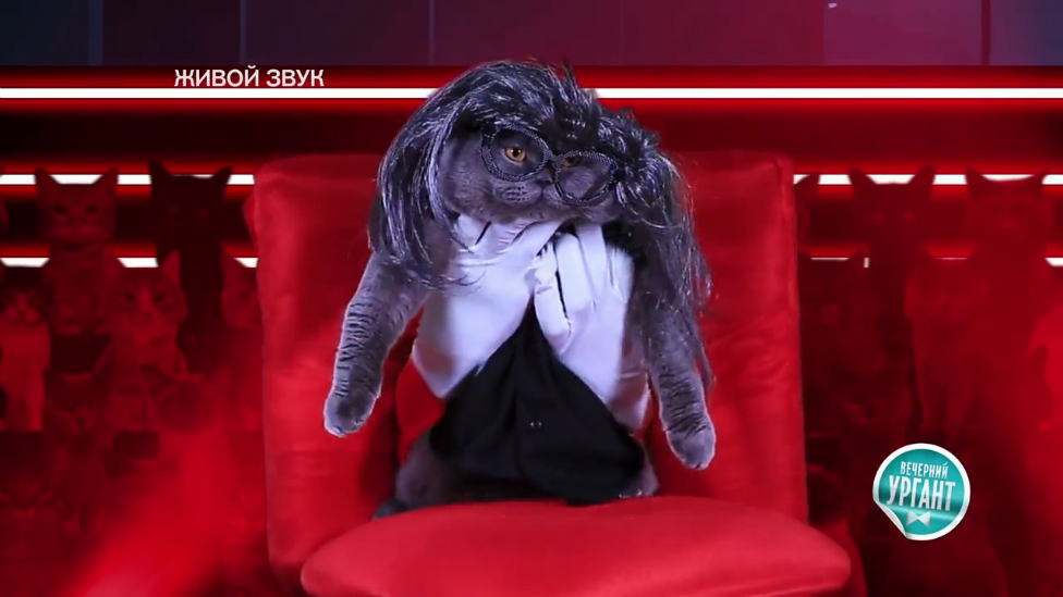 Кошачий Голос
