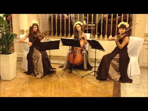 Гвен Стефани "Cool" - струнное трио Violin Group DOLLS