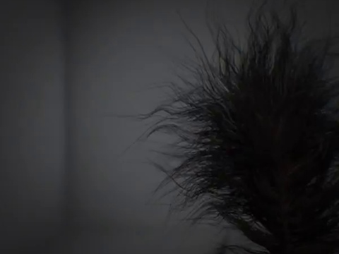 Адская белка-2.