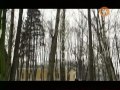 Параллельные миры. Тайные врата